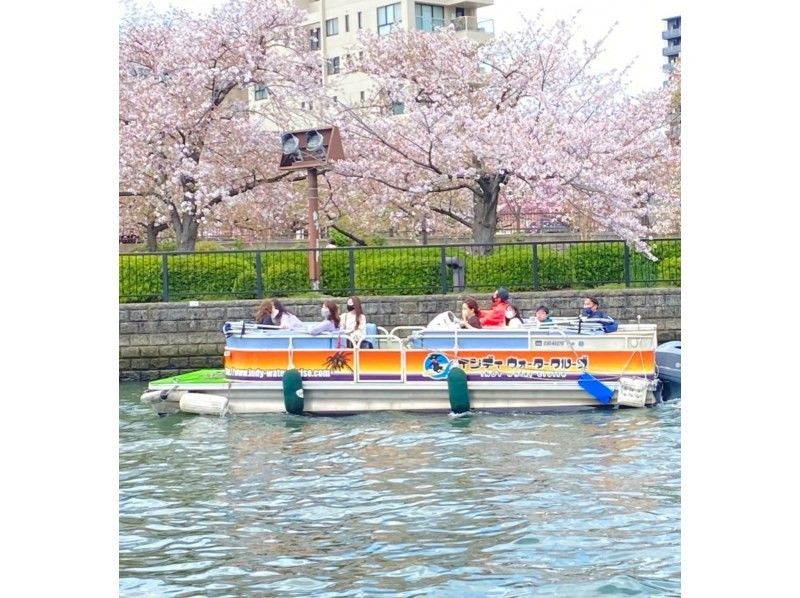 2025 Osaka Cherry Blossom Viewing Sakura Cruise Private Charter [Very Popular]の紹介画像