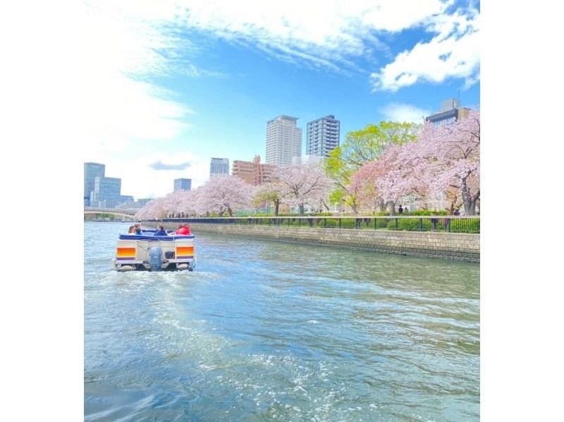 2024 Osaka Cherry Blossom Viewing Sakura Cruise Charter [Very Popular]の紹介画像