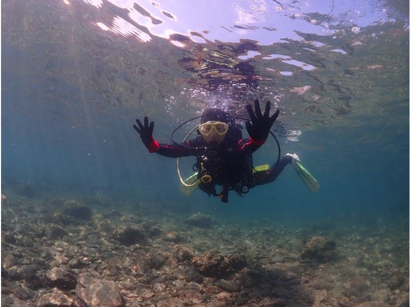 【야쿠시마・체험 다이빙】【1 다이브】스탠다드 플랜! 『체험하면서 결정한다』 만들 수 있는 안심♪ 늘릴 수 있는 만족! 초보자 전문점【야쿠시마/꿈의 기분】の紹介画像