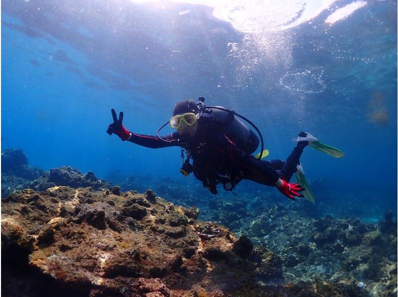 【야쿠시마・체험 다이빙】【1 다이브】스탠다드 플랜! 『체험하면서 결정한다』 만들 수 있는 안심♪ 늘릴 수 있는 만족! 초보자 전문점【야쿠시마/꿈의 기분】の紹介画像