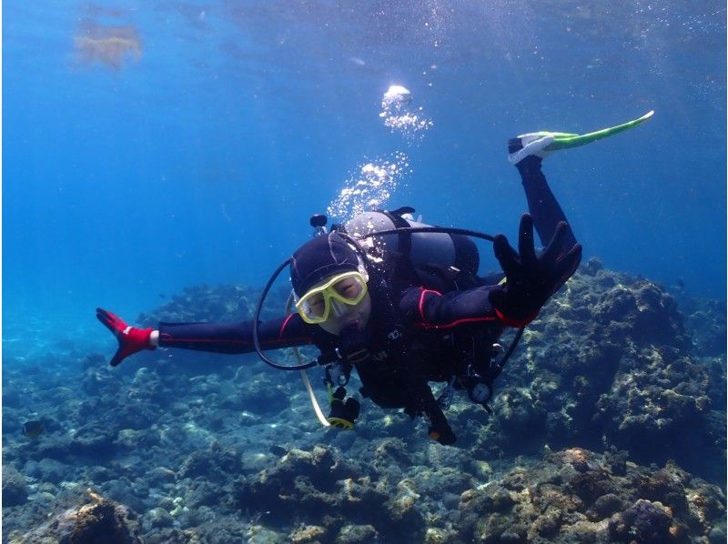 [屋久島經驗深潛] 1個潛水課程[上午/下午]の紹介画像