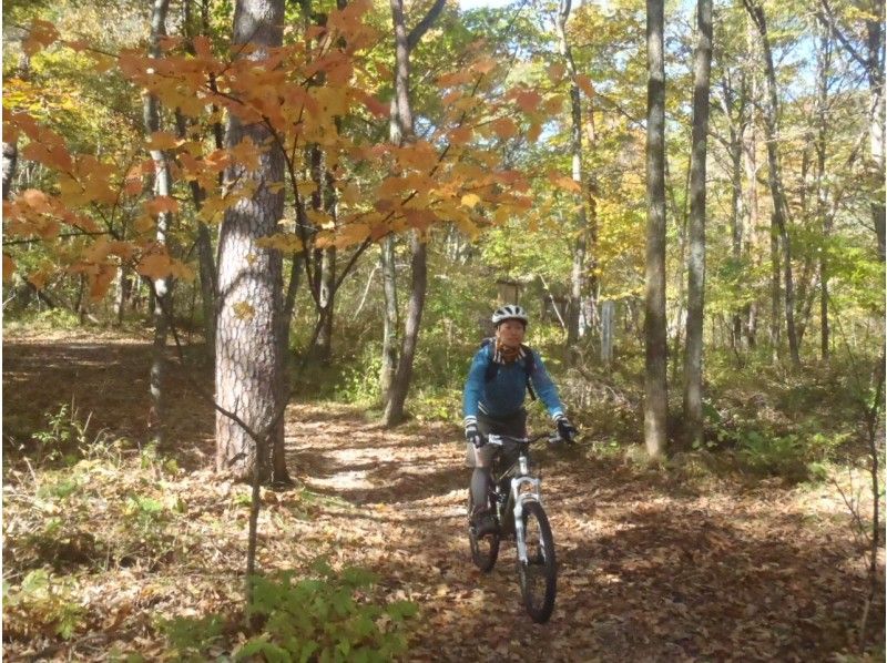 【榛名山麓／群馬 関東】マウンテンバイク自転車・MTBやまみち体験『榛名山麓林道ライド』アウトドア外遊び＆フィットネス　◎秋の紅葉〜冬ツアーの紹介画像