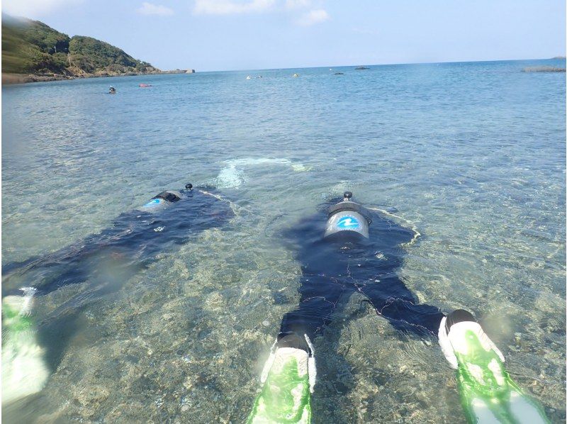 [Yakushima - Introductory Diving] [Standard Course] [1 Dive] "Decide while you try!" "Build peace of mind♪" "Increase satisfaction!" Beginners' specialty store "Yumekoji"の紹介画像