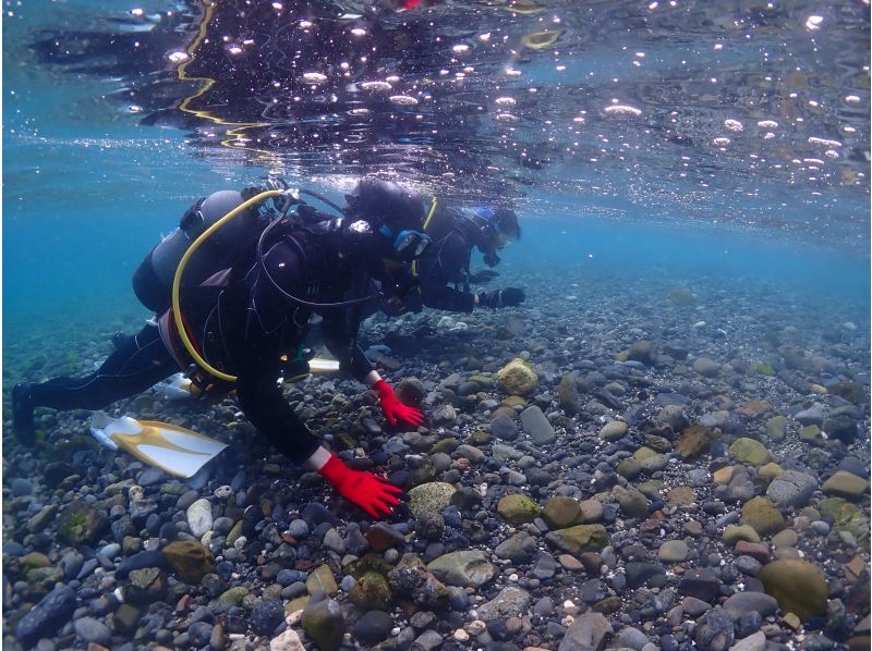 [Yakushima - Introductory Diving] [Standard Course] [1 Dive] "Decide while you try!" "Build peace of mind♪" "Increase satisfaction!" Beginners' specialty store "Yumekoji"の紹介画像