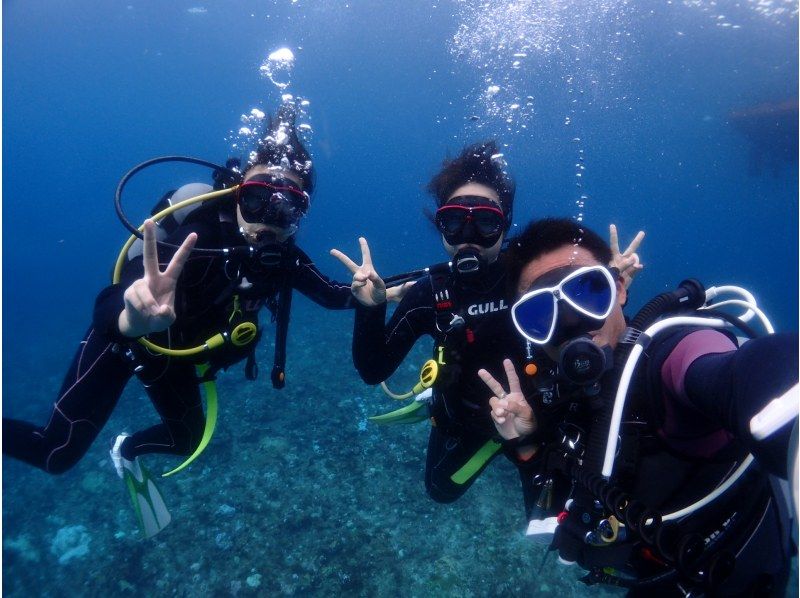 [Yakushima - Introductory Diving] [Standard Course] [1 Dive] "Decide while you try!" "Build peace of mind♪" "Increase satisfaction!" Beginners' specialty store "Yumekoji"の紹介画像