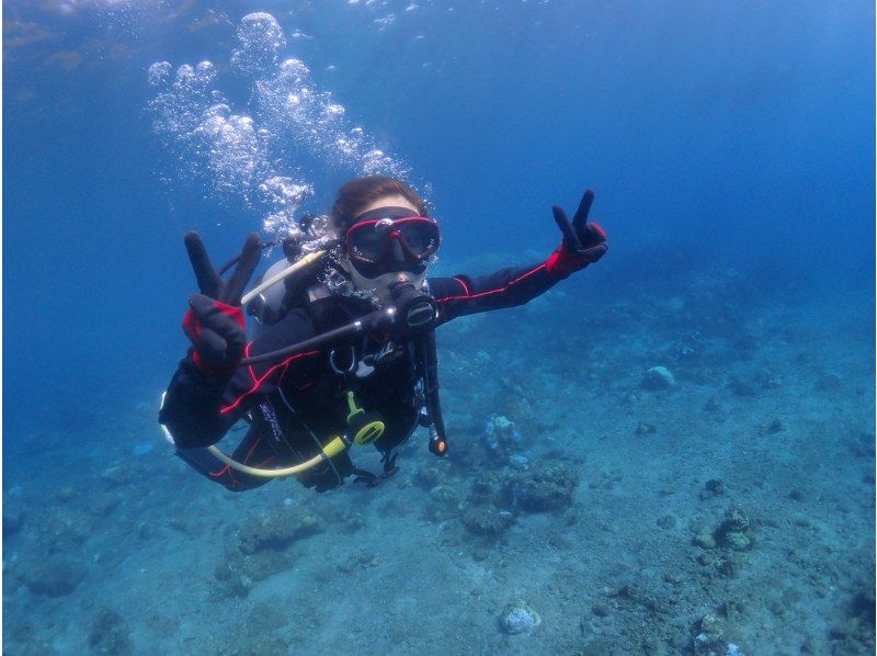 [Yakushima - Introductory Diving] [Standard Course] [1 Dive] "Decide while you try!" "Build peace of mind♪" "Increase satisfaction!" Beginners' specialty store "Yumekoji"の紹介画像