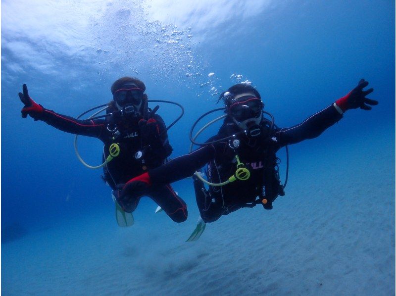 [Yakushima - Introductory Diving] [Standard Course] [1 Dive] "Decide while you try!" "Build peace of mind♪" "Increase satisfaction!" Beginners' specialty store "Yumekoji"の紹介画像