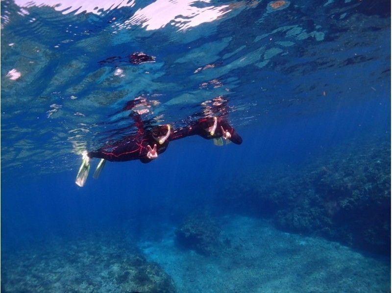 [Yakushima]Snorkeling Tour 60 minutes course [morning / afternoon]の紹介画像