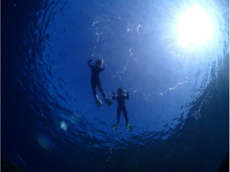 [Yakushima]Snorkeling Tour 60 minutes course [morning / afternoon]の紹介画像