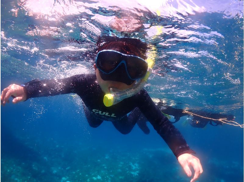 [Yakushima]Snorkeling Tour 60 minutes course [morning / afternoon]の紹介画像