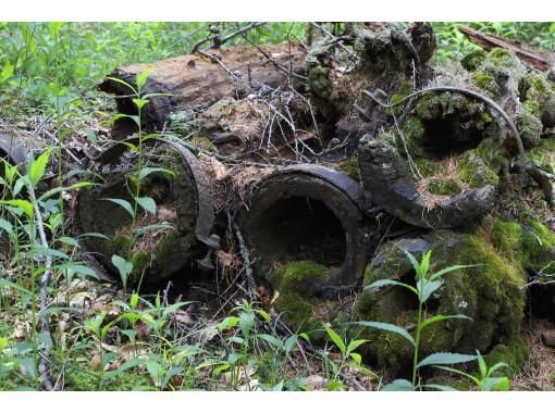 栃木 奥日光 湯導管の道を歩く 隠れた歴史探訪 ガイド付きでないと入れない道 滝も楽しめるレア体験 アクティビティジャパン