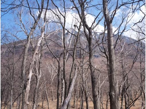 栃木 奥日光 湯導管の道を歩く 隠れた歴史探訪 ガイド付きでないと入れない道 滝も楽しめるレア体験 アクティビティジャパン