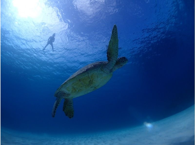 （B路线）凭竹富岛的登船券！ [冲绳/石垣岛] 16种流行的蓝色洞穴浮潜和海上运动无限畅玩之旅！の紹介画像