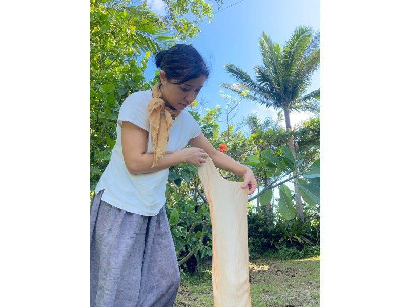 【沖縄・石垣島】島の植物「月桃」でストールを染めよう！の紹介画像