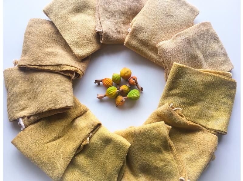 【沖縄・石垣島】島の植物「月桃」でストールを染めよう！の紹介画像