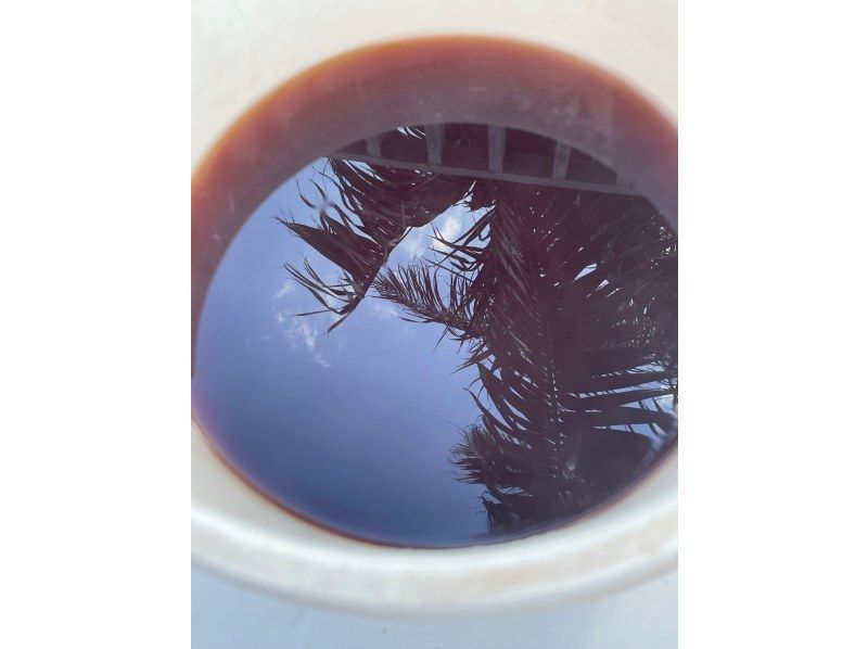 【沖縄・石垣島】島の植物「月桃」でストールを染めよう！の紹介画像