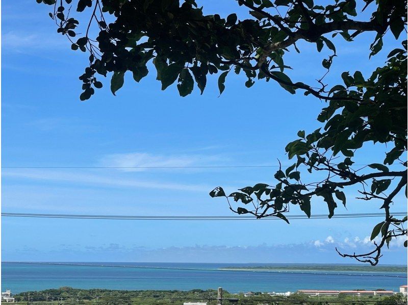 【沖縄・石垣島】島の植物「月桃」でストールを染めよう！の紹介画像