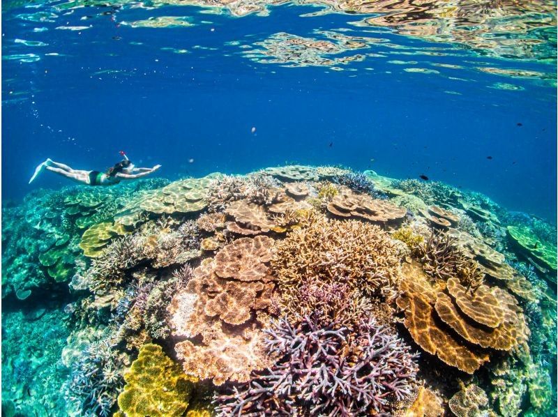 [Miyakojima/Irabujima] Popular Yaebiji boat snorkeling! ☆Drone and underwater photography included.の紹介画像