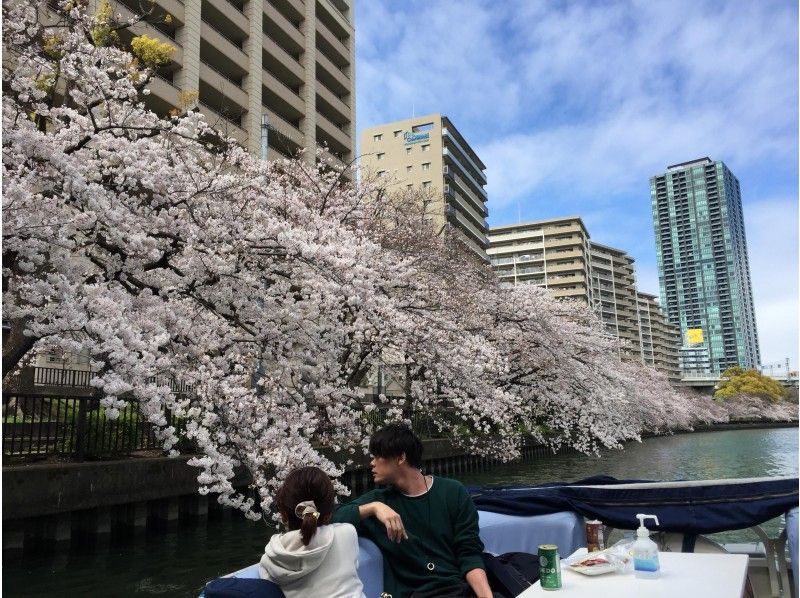 [Osaka Popular Plan] Cherry Blossom Viewing Cruise 2024 Even a small group is OK! (shared ride)の紹介画像