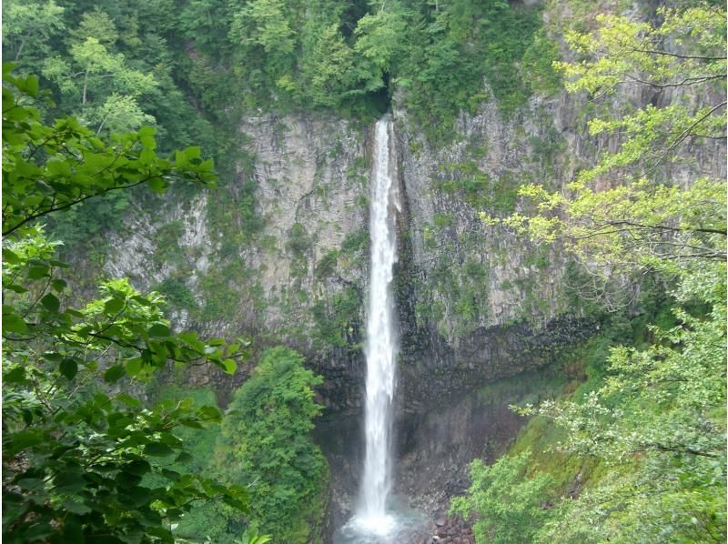 【岐阜・世界遺産白川郷】空から観光！家族で楽しむGW！白山の残雪と新緑の共演、荘川桜の季節をヘリコプターで満喫（3名絶景コース・約12分）の紹介画像