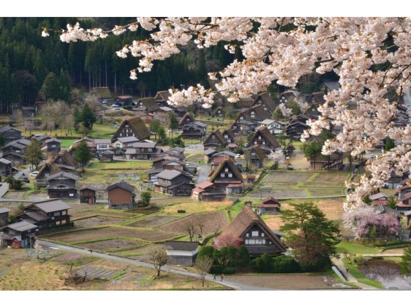 [Gifu, World Heritage Site Shirakawa-go] Sightseeing from the sky! Enjoy Golden Week with the family! Enjoy the combination of remaining snow and fresh greenery on Mt. Hakusan, and the season of Shogawa cherry blossoms by helicopter (2-person course, approx. 12 minutes)の紹介画像