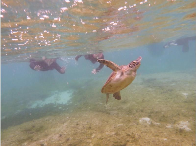 【 一組貸切 専用温水シャワー更衣室完備 5歳・2名様～】★バスタオル付★那覇から35分 本島南部自然海岸でのんびりとスノーケリングの紹介画像