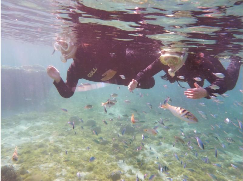 【 一組貸切 専用温水シャワー更衣室完備 5歳・2名様～】★バスタオル付★那覇から35分 本島南部自然海岸でのんびりとスノーケリングの紹介画像