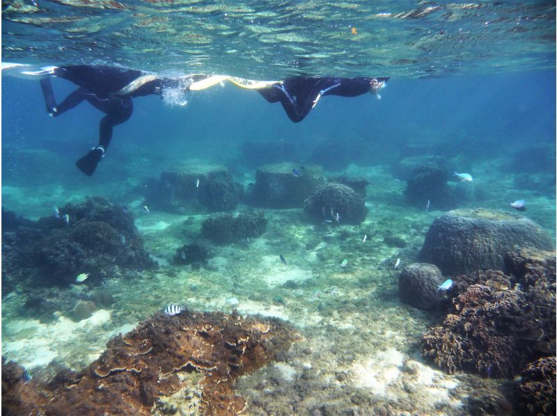 【 一組貸切 専用温水シャワー更衣室完備 5歳・2名様～】★バスタオル付★那覇から35分 本島南部自然海岸でのんびりとスノーケリングの紹介画像