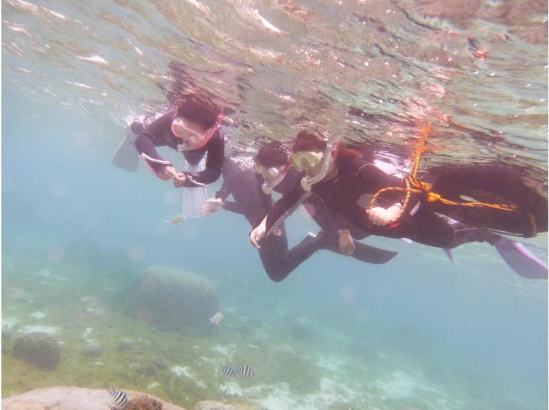 【 一組貸切 専用温水シャワー更衣室完備 5歳・2名様～】★バスタオル付★那覇から35分 本島南部自然海岸でのんびりとスノーケリングの紹介画像