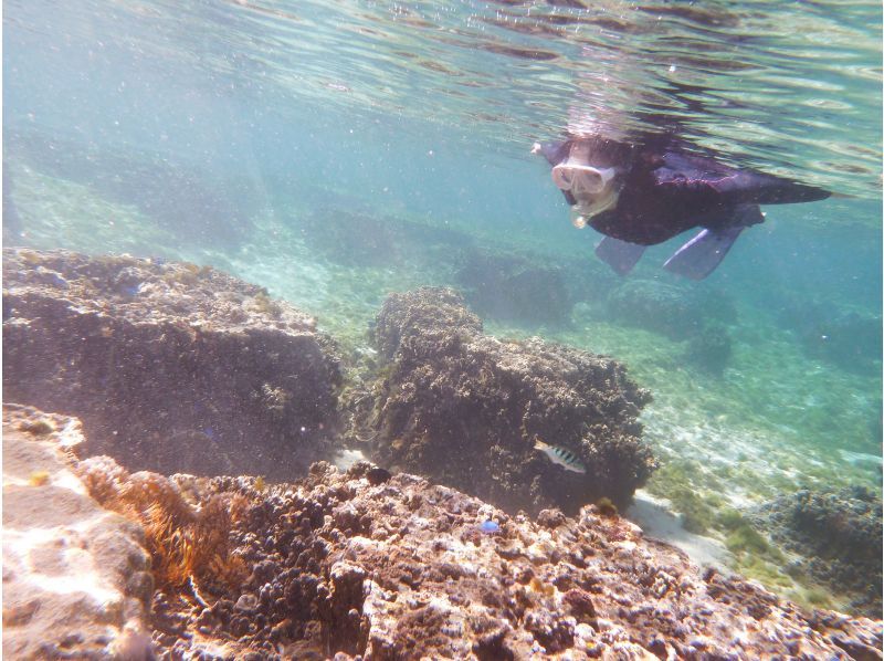 【 一組貸切 専用温水シャワー更衣室完備 5歳・2名様～】★バスタオル付★那覇から35分 本島南部自然海岸でのんびりとスノーケリングの紹介画像