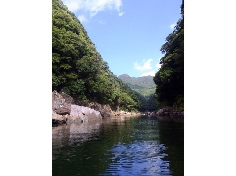 [Kagoshima ・ Yakushima] Of the world heritage Yakushima At the river Kayak! half-day courseの紹介画像