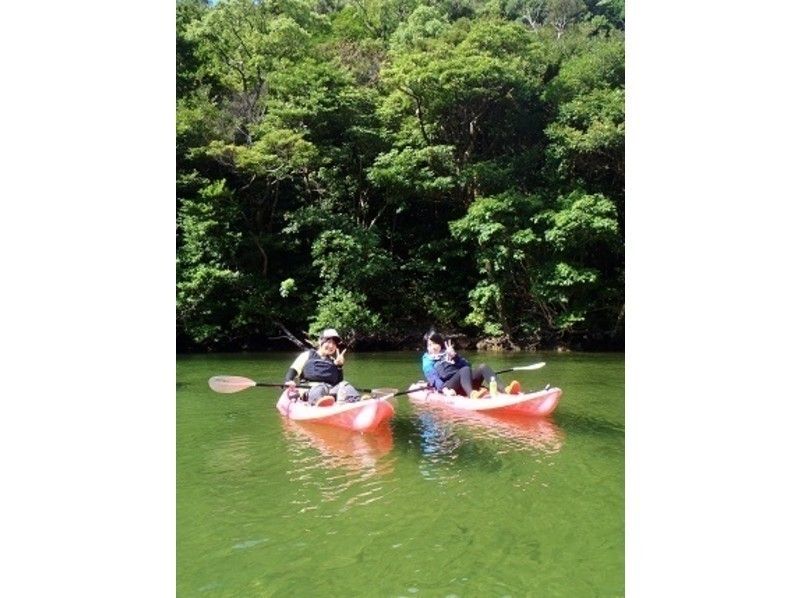 [Kagoshima ・ Yakushima] Of the world heritage Yakushima At the river Kayak! half-day course