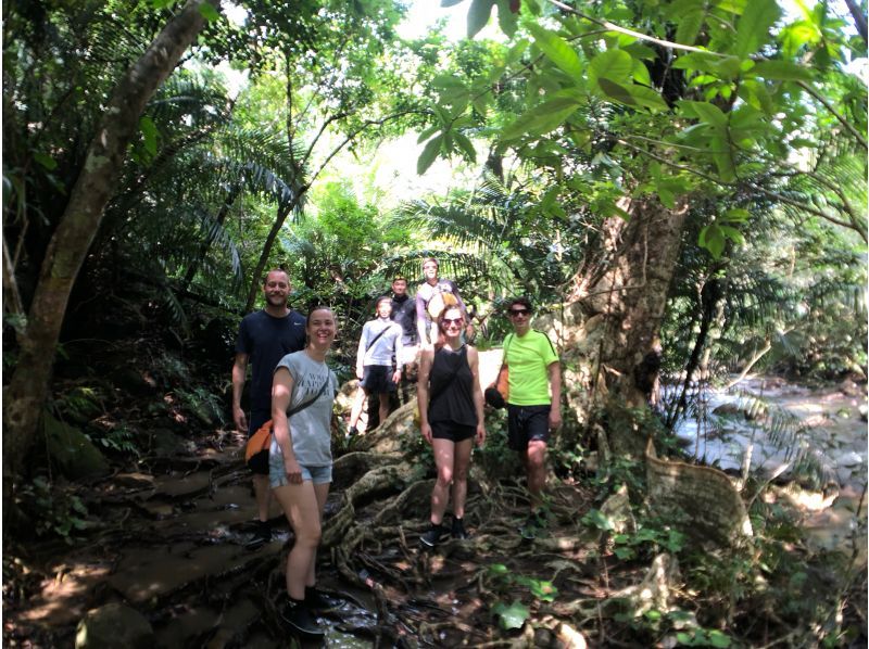 [Okinawa, Iriomote Island] Greedy tour: Pinaisara waterfall basin & sea conquering course!の紹介画像