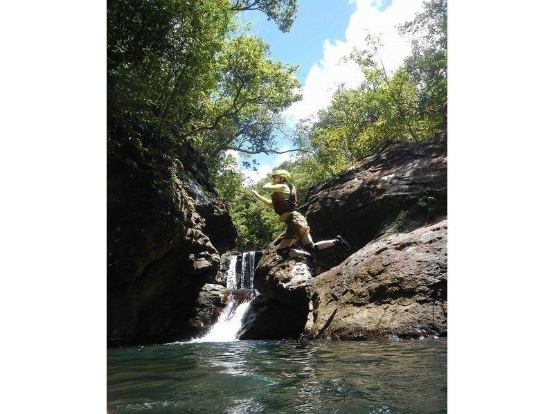 【Okinawa · Iriomote Island】 Summer is no doubt this! Pinaisala Falls & Canyoning Clear Flow Playの紹介画像