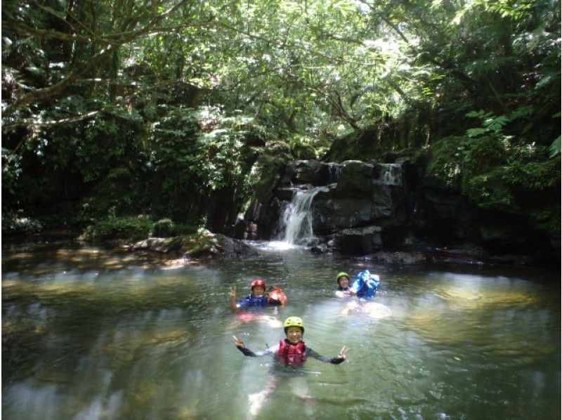 【 Okinawa · Iriomotejima】 authentic jungle Sea kayaking & clear stream playing firmly ~の紹介画像