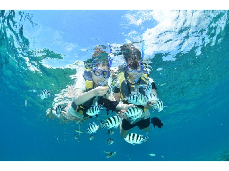 [Okinawa Nago City] OK from 5 years old! Parasailing experience overlooking the superb view and feeding experience included ♪ Value set of coral field snorkel tourの紹介画像