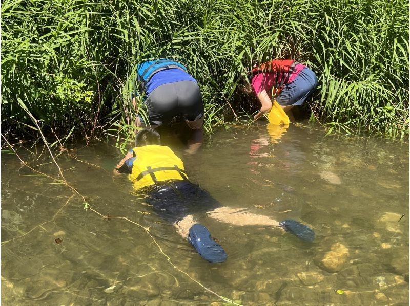 【洞爺湖カヤック】 ユネスコ認定世界ジオパーク開催　洞爺湖温泉から車で5分　大自然をカヤックと自然体験で満喫！の紹介画像