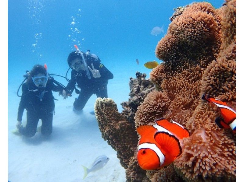 Recommended ★ Cheap [Ishigaki Island Diving / Phantom Island / 3.5 hours in the morning] Phantom Island Landing & AM Half-Day Experience Diving Boat Tour! ☆Free Photography☆Transportation Availableの紹介画像