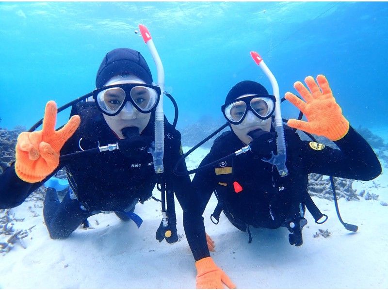 Recommended ★ Cheap [Ishigaki Island Diving / Phantom Island / 3.5 hours in the morning] Phantom Island Landing & AM Half-Day Experience Diving Boat Tour! ☆Free Photography☆Transportation Availableの紹介画像