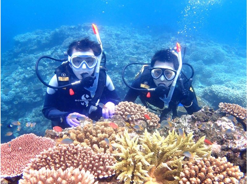 Recommended ★ Cheap [Ishigaki Island Diving / Phantom Island / 3.5 hours in the morning] Phantom Island Landing & AM Half-Day Experience Diving Boat Tour! ☆Free Photography☆Transportation Availableの紹介画像