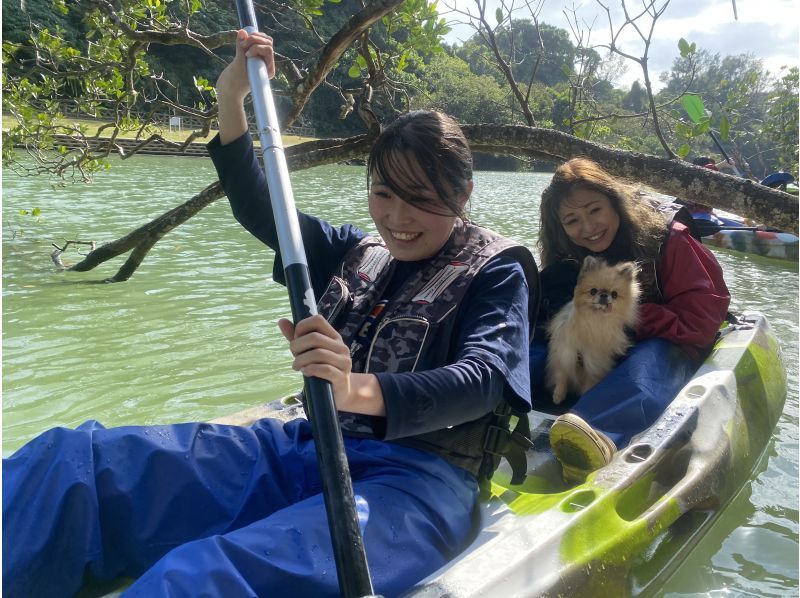 Kayak experience with pets! Healing tour with subtropical nature ★Free photos, rental items, and showers!の紹介画像