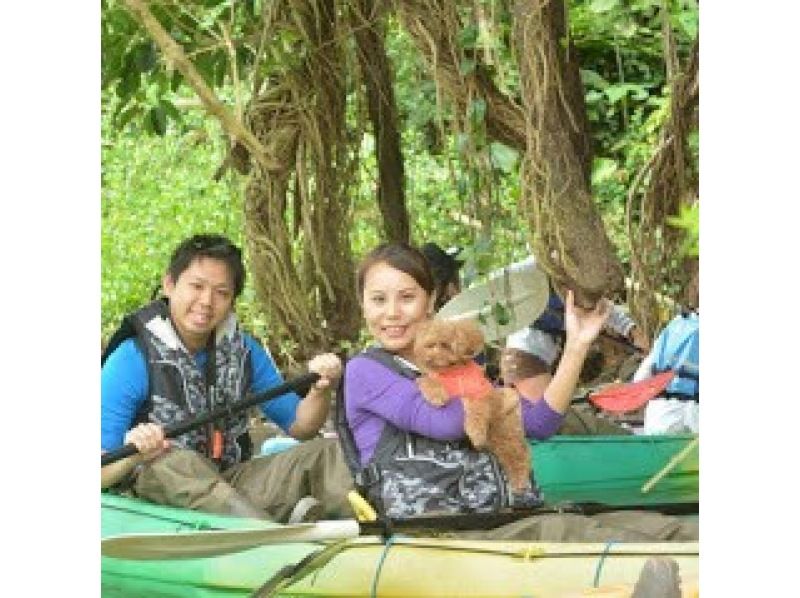 SALE Kayaking with pets! Enjoy a healing tour in the subtropical nature with your pet. ★Free photos, rental items, and showers! ★Popular! Comfortable new facilitiesの紹介画像