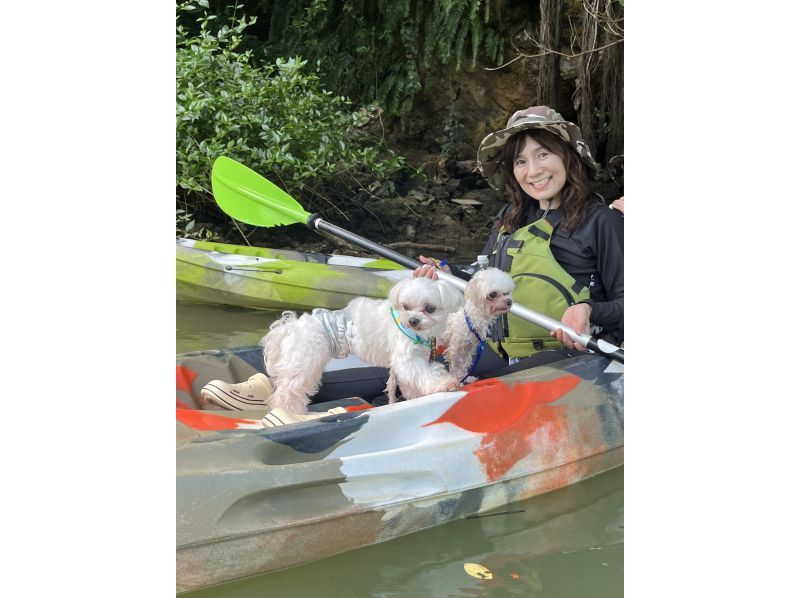 特价！和爱犬一起在水上探险吧！与爱犬一起享受亚热带自然治愈之旅★免费提供照片、租赁用品和淋浴！★人气爆棚！全新舒适设施の紹介画像