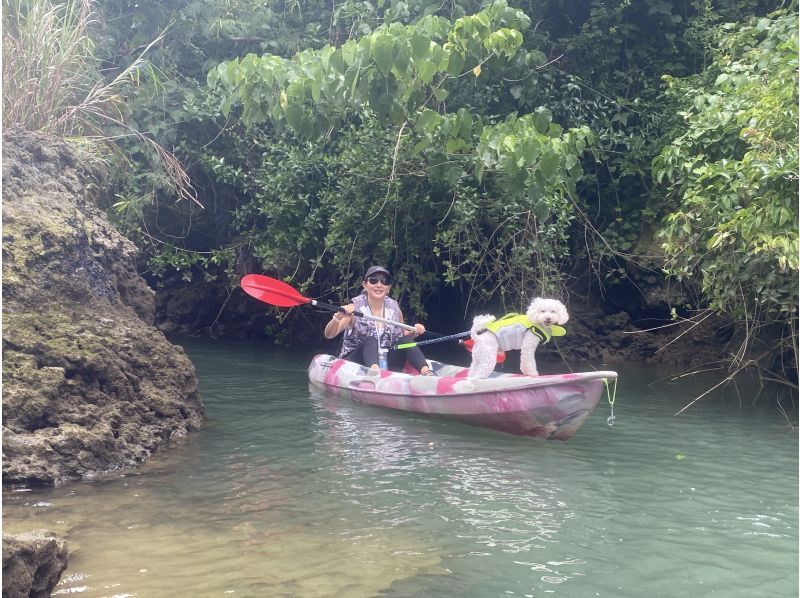 特价！和爱犬一起在水上探险吧！与爱犬一起享受亚热带自然治愈之旅★免费提供照片、租赁用品和淋浴！★人气爆棚！全新舒适设施の紹介画像