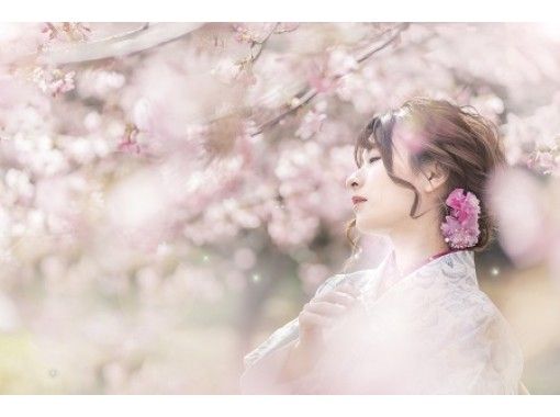即時予約可 京都 祇園 着物でロケーション撮影体験 着物レンタル 夏季は浴衣も 髪飾りなどの小物 ヘアセット 出張撮影 データ納品 アクティビティジャパン 即時予約可 京都 祇園 着物でロケーション撮影体験 着物レンタル 夏季は浴衣も 髪飾りなどの小物 ヘアセット 出張撮影 データ納品 アクティビティジャパン