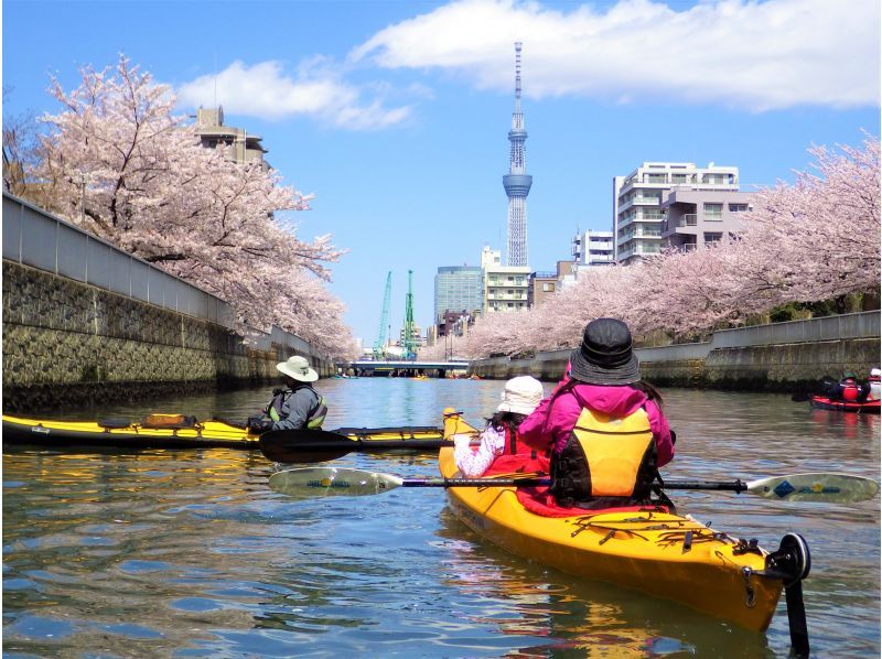 【東京・江戸川】本格的なシーカヤックで東京探検「東京水路カヤックツアー（1day）」の紹介画像