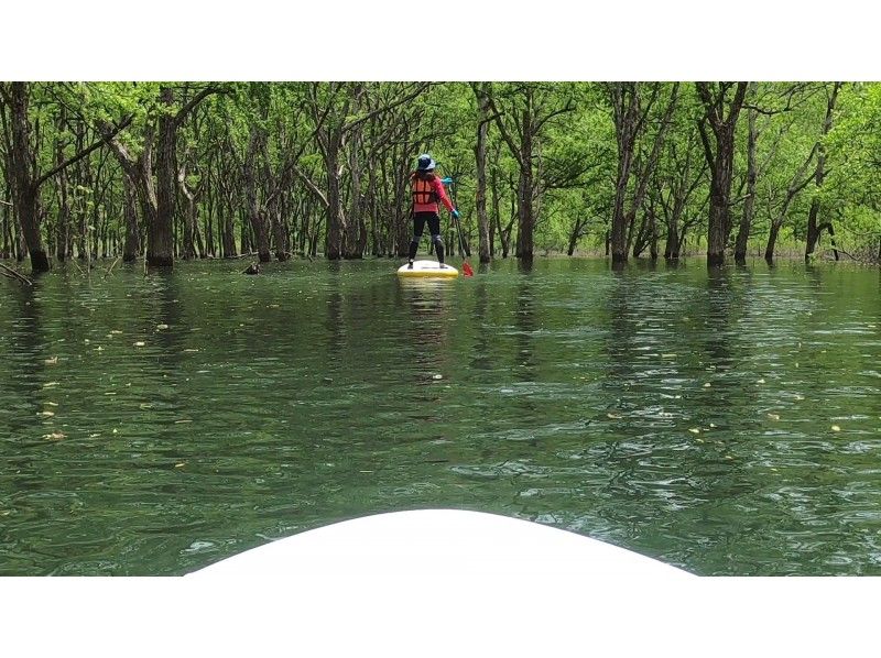 【山形・飯豊】幻想的な白川湖水没林でゆったりとした時間を過ごすSUPorカヤックプレミアム体験 ♪　山形駅からの無料送迎可、写真サービス！の紹介画像