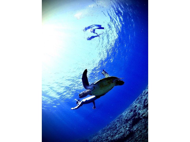 2025年4月度Google口コミ数「沖縄ダイビング」1位！那覇発・半日慶良間諸島】かなづちでもできる！撮影・レクチャー付きスキンダイビングの紹介画像