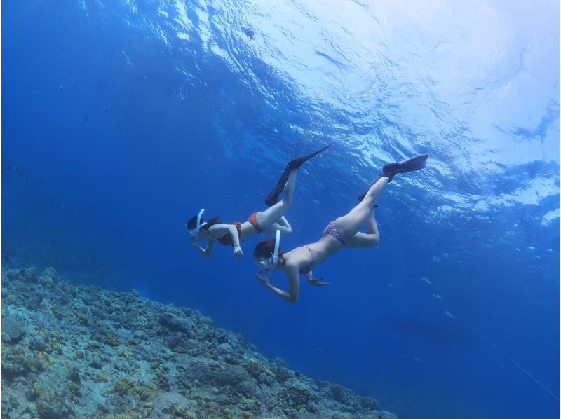 2025年4月度Google口コミ数「沖縄ダイビング」1位！那覇発・半日慶良間諸島】かなづちでもできる！撮影・レクチャー付きスキンダイビングの紹介画像