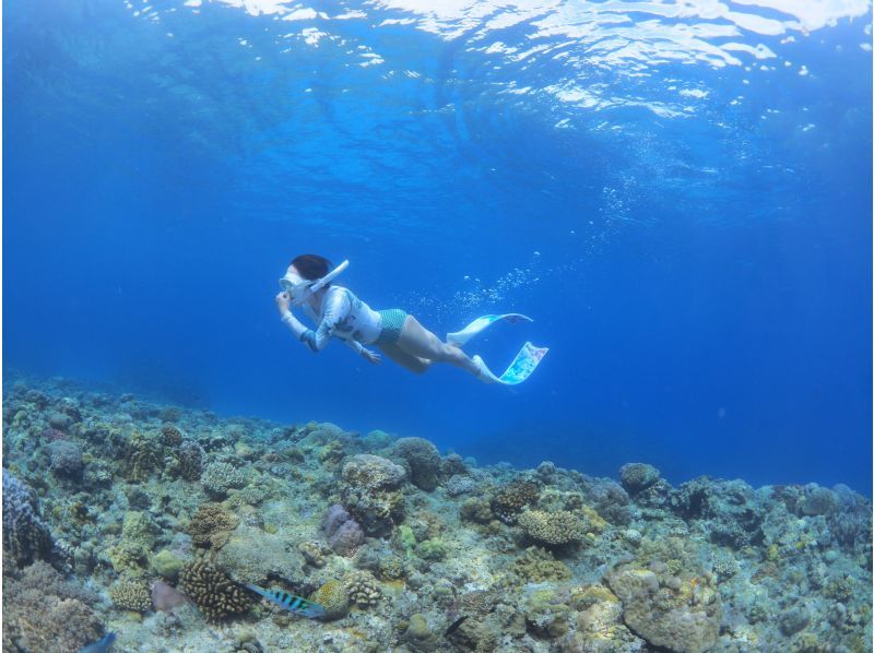 2025年4月度Google口コミ数「沖縄ダイビング」1位！那覇発・半日慶良間諸島】かなづちでもできる！撮影・レクチャー付きスキンダイビングの紹介画像